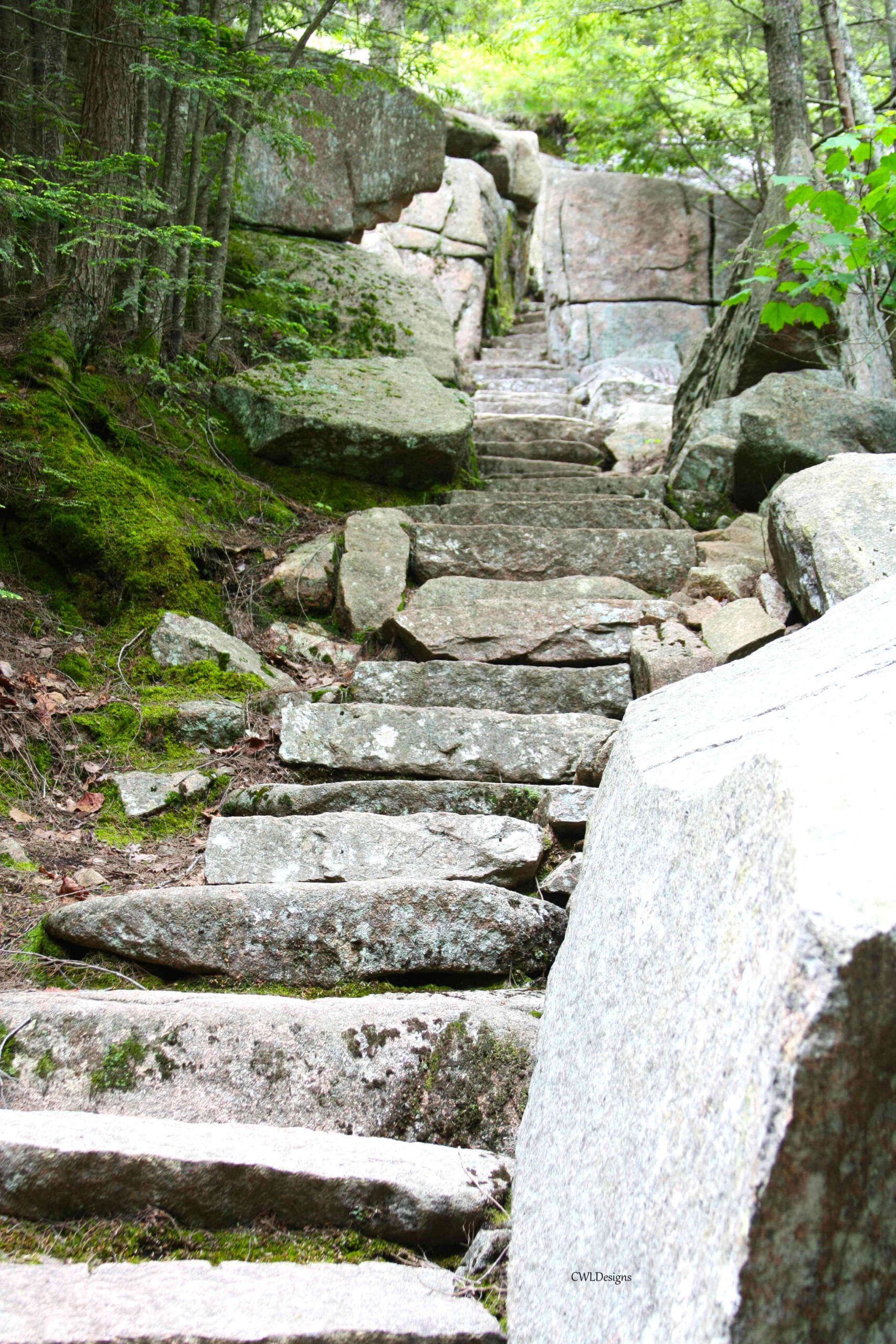 Rock Steps
