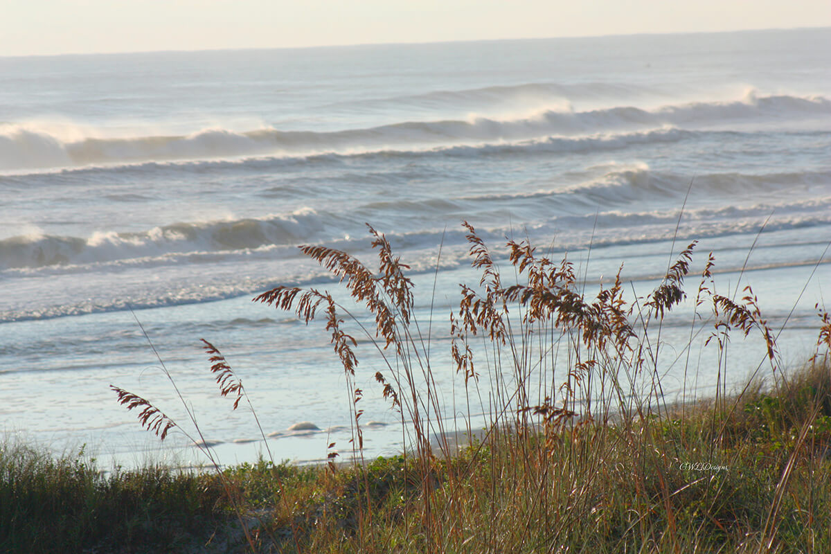 Sea Foam