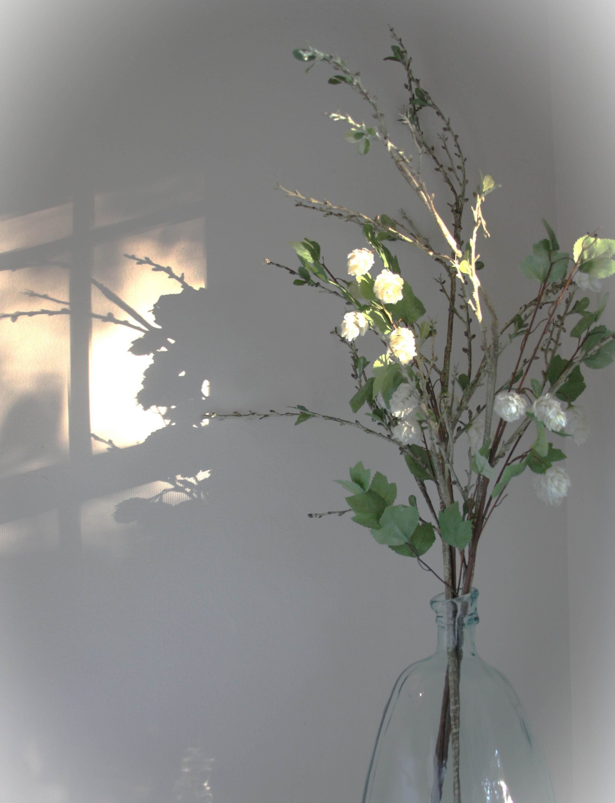 Flowers Sunlight