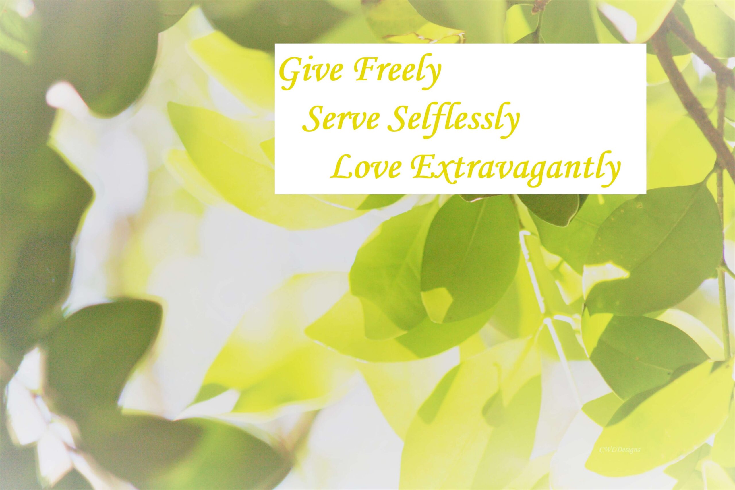 Give Freely, Serve Selflessly, Love Extravagantly