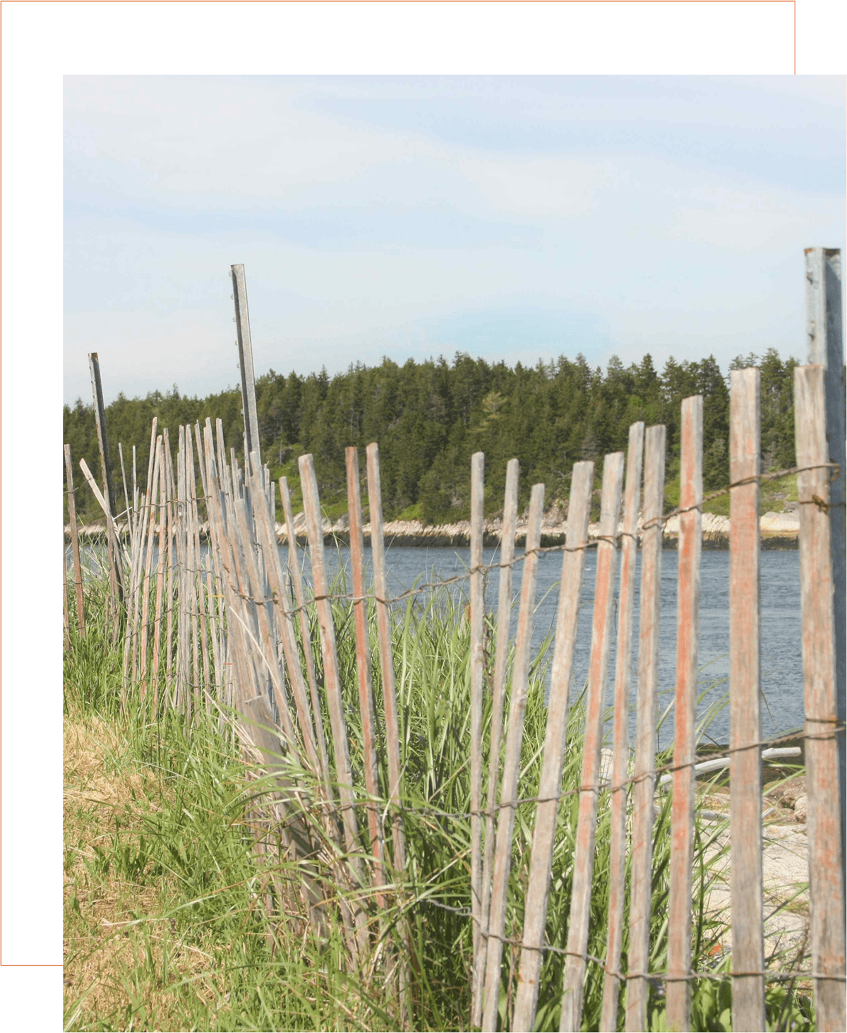 Sea Coast Fence