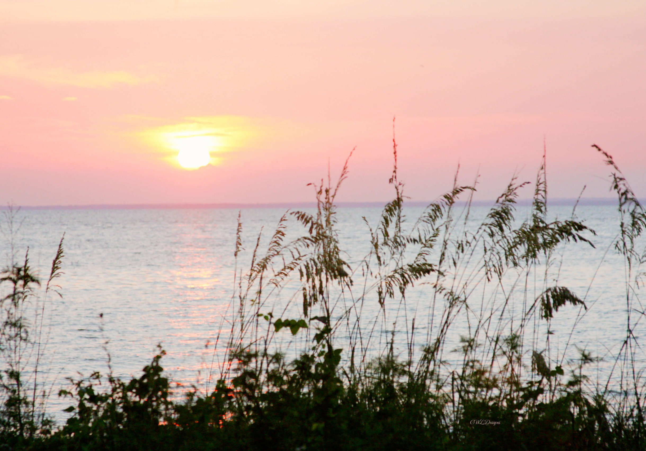 WalkOutoftheWoods_Sunset