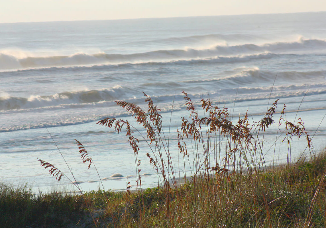 Sea Foam